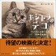 【入荷予約】キジトラのテコ パパさんと過ごした14年の奇跡