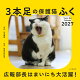 【予約】カレンダー2027 3本足の保護猫ふく 広報部長はまいにち大活躍! カレンダー(月めくり/卓上・リング/ねこ)