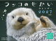 【予約】カレンダー2027 ふしぎでかわいいどうぶつカレンダー ラッコのせかい(月めくり/壁掛け/動物 海)