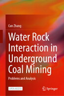 Water Rock Interaction in Underground Coal Mining: Problems and Analysis