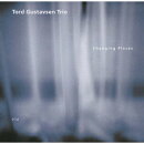 チェンジング・プレイセズ