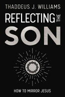 Reflecting the Son