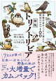 新版トリノトリビア 鳥類学者がこっそり教える野鳥のひみつ100