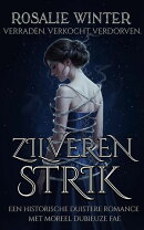 Zilveren Strik
