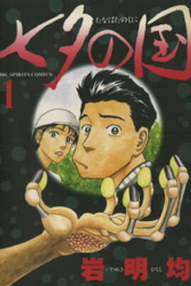 七夕の国(1) 七夕の国(1)