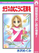 ガラスのむこうに花束を【期間限定試し読み増量】