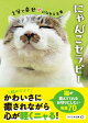 にゃんこセラピー 1分で幸せになれる言葉