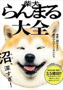柴犬らんまる大全 - 世界一頭がまるい柴犬のたのしいまいにち -