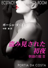 盗み見された初夜倒錯の館3