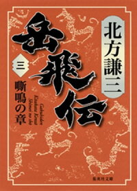 岳飛伝三嘶鳴の章