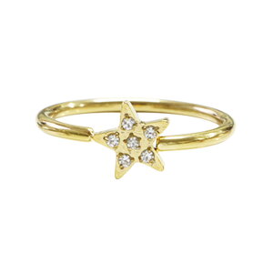 w fB[X XeX O (62)X^[ CZ I F F sNS[h T[WJXeX316L AM[Ή Y fB[X l  Vv 