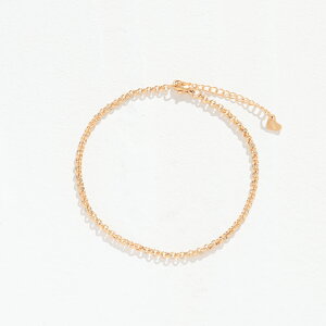 XeX ANbg (15) b I F F AM[Ή fB[X Y S[h  T[WJ  Vo[