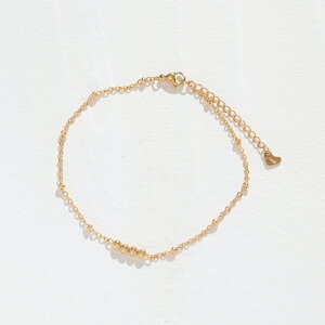 XeX ANbg (17) I F F AM[Ή fB[X Y S[h  T[WJ  Vo[