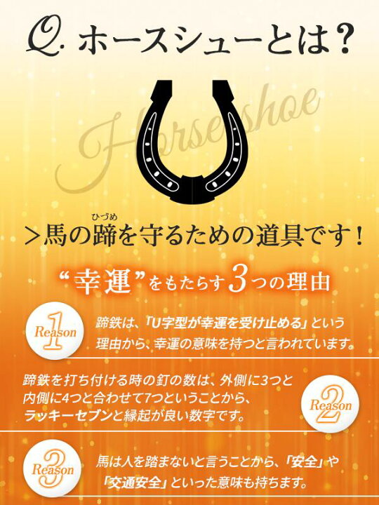 楽天市場 ホースシュー 6 Cz チェーンは別売り メイン シルバー925 銀 ペンダント 馬蹄 蹄鉄 ひづめ ネックレス ホースシュー 送料無料 おしゃれ アクセサリー専門ショップppp