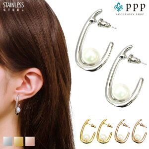 XeX sAX (160) p[ 2Zbg I F F sNS[h sAX fB[X XeX T[WJXeX 316L AM[Ή Vv  킢 