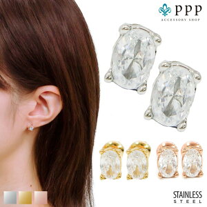 XeX sAX (165) I[oCZ 2Zbg I F F sNS[h sAX fB[X XeX T[WJXeX 316L AM[Ή Vv  킢 