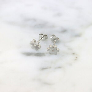 XeX sAX (191)  F sAX fB[X XeX T[WJXeX 316L AM[Ή Vv  킢 