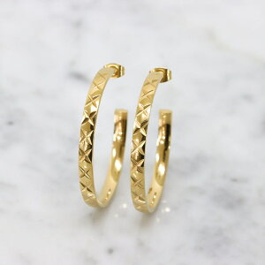 XeX sAX (210) 2Zbg F sAX fB[X XeX T[WJXeX 316L AM[Ή Vv  킢 