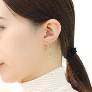 _zZ[^ XeX sAX (221) 2Zbg F sAX fB[X XeX T[WJXeX 316L AM[Ή Vv  킢 