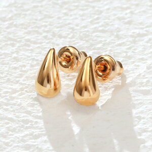 XeX sAX (161) ^ 2Zbg I F F sNS[h sAX fB[X XeX T[WJXeX 316L AM[Ή Vv  킢 