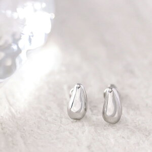 XeX sAX (170) ^ 2Zbg I F F sNS[h sAX fB[X XeX T[WJXeX 316L AM[Ή Vv  킢 