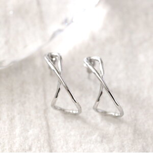 XeX sAX (173) eNX`[ 2Zbg I F F sNS[h sAX fB[X XeX T[WJXeX 316L AM[Ή Vv  킢 