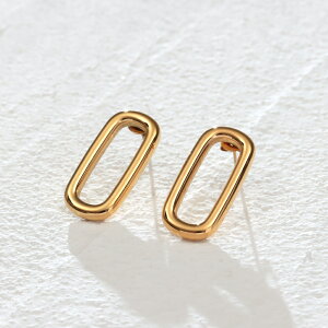 XeX sAX (217) 2Zbg F sAX fB[X XeX T[WJXeX 316L AM[Ή Vv  킢 