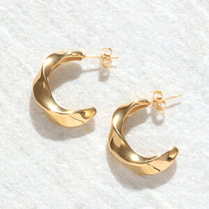 XeX sAX (233) cCXg I F F sAX fB[X S[h Vo[ XeX T[WJXeX 316L AM[Ή Vv  킢  gol