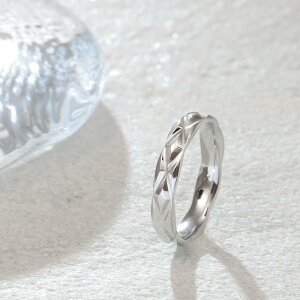 w fB[X XeX O (333) LeBOH I F F sNS[h T[WJXeX316L AM[Ή Y v`vCX  Vo[ S[h