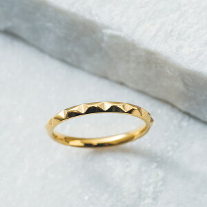 w fB[X XeX O (55) fUC I F F sNS[h T[WJXeX316L AM[Ή Y fB[X Vv l  v`vCX 