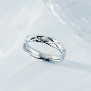 w fB[X XeX O (343) LeBOH I F F T[WJXeX316L w fB[X AM[Ή Y v`vCX  Vo[ S[