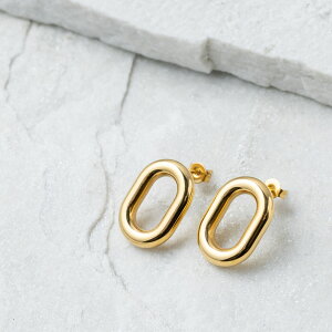 XeX sAX (218) 2Zbg I F F sAX fB[X XeX T[WJXeX 316L AM[Ή Vv  킢  Vo[ S[h