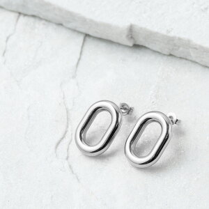 XeX sAX (218) 2Zbg I F F sAX fB[X XeX T[WJXeX 316L AM[Ή Vv  킢  Vo[ S[h