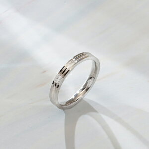 w fB[X XeX O (366) C I F F T[WJXeX 316L w fB[X AM[Ή Y v`vCX  Vo[ S[h 