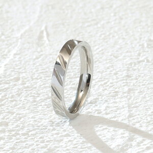 w fB[X XeX O (54) fUC I F F sNS[h T[WJXeX316L AM[Ή Y fB[X Vv l  v`vCX 