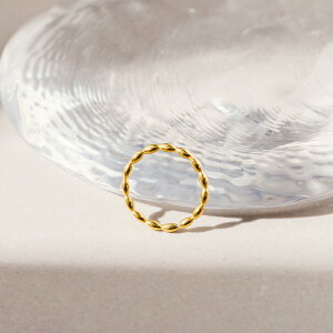 w fB[X XeX O (289) fUC I (F F sNS[h) w  킢 Vo[ S[h sN J[ T[WJXeX 316L AM[