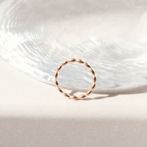 w fB[X XeX O (289) fUC I (F F sNS[h) w  킢 Vo[ S[h sN J[ T[WJXeX 316L AM[