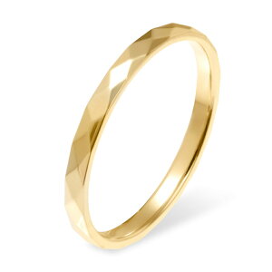 w fB[X XeX O (280) Jbg I (F F sNS[h) w  킢 Vo[ S[h sN J[ T[WJXeX 316L AM[Ή 