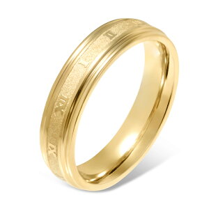 w fB[X XeX O (57) [} F͑I F F sNS[h T[WJXeX316L AM[Ή Y fB[X io[ Vv l 