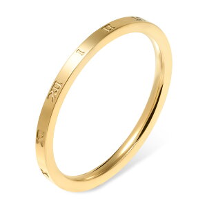 w fB[X XeX O (56) [} I F F sNS[h T[WJXeX316L AM[Ή Y fB[X io[ Vv l  v