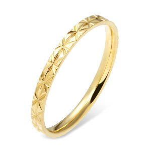 w fB[X XeX O (53) fUC I F F sNS[h T[WJXeX316L AM[Ή Y fB[X Vv l  v`vCX 