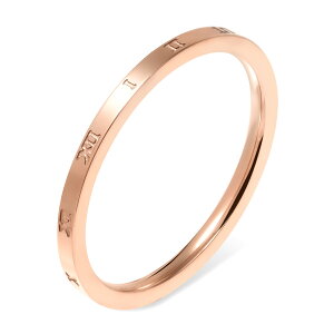 w fB[X XeX O (56) [} I F F sNS[h T[WJXeX316L AM[Ή Y fB[X io[ Vv l  v