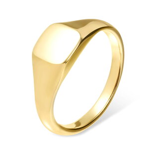 w fB[X XeX O (301)  I (F F sNS[h) w  킢 Vo[ S[h sN J[ T[WJXeX 316L AM[Ή 