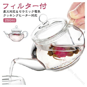 紅茶ポット ガラスポット 250ml 耐熱ガラスのティーポット フィルター付き 急須 おしゃれ 透明 硝子 蓋付き 丸い形状 0.25L 茶葉用 ポット 高耐熱仕様