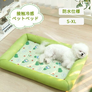 ybgxbh ėp L xbh xbh Ђ}bg NbV  ⊴ p}bg ې􂢉\ _炩 Ђf ybgpi ėp}bg Lp ^ ^ Ή ybgxbh N