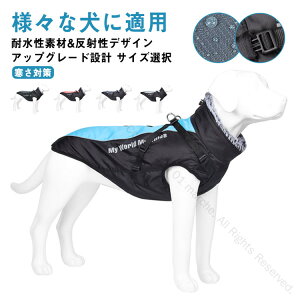 R[g ~ xXg y XL-6XL hbOEFA ~  _ExXg ^ h h g Ȃ ^[glbN pR[g  WPbg ^ EȒP  h  h΍ 