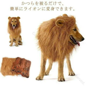 犬 ライオン 獅子 仮装 ウィッグ カツラ かぶりもの 犬服 ペット用 ハロウィン コスプレ コスチューム 衣装 変装 帽子 被り物 仮装グッズ おもしろグッズ コーギー ゴールデンレトリバー 柴