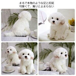 �ʂ������ �� �}���`�[�Y �� �}���^�q ���ʂ������ �q�� �j�̎q �������� �M�t�g �����H�|�i �C�k ������ �ӂ�ӂ�N���X�}�X ���a���� �L�O�� �v���[���g�ɍœK ���킢�������n