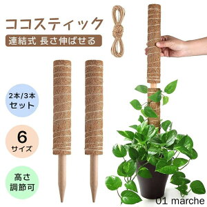 2{Zbg 3{Zbg Xe x RRXeBbN ϗtA x |x A K[fjOp Ԃ RRibcx AT|[g 鐫A g}g |gX x |p |x