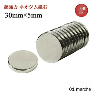 lIW lIWE 30mm×5mm ی^ {^^    }Olbg N35 iv DIY ItBX  q ܂Ƃߔ ͔Q ϋv \}Olbg